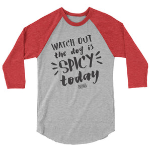 Open image in slideshow, 3/4 sleeve light raglan - spicy today
